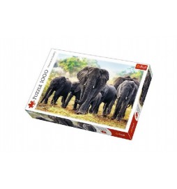 Puzzle Afričtí sloni 1000 dílků 68,3x48cm v krabici 40x27x6cm