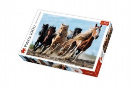 Puzzle Cválající koně 1000 dílků 68,3x48cm v krabici 40x27x6cm - Rock David