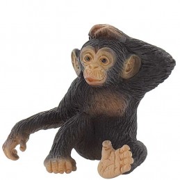 Šimpanz mládě - Renčín Vladimír