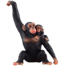 Šimpanzice s mládětem - Renčín Vladimír