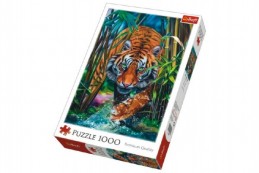 Puzzle Dravý Tygr 1000 dílků 48x68cm v krabici 40x27x6cm - Rock David