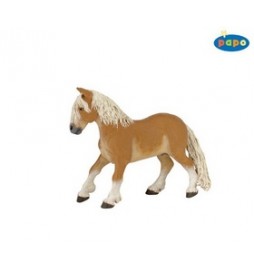 Poník Haflinger