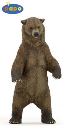 Medvěd grizzly - Chabon Michael