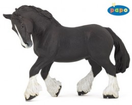 Shirský kůň černý - Chabon Michael