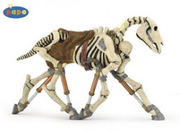 Kůň Skeleton - Chabon Michael