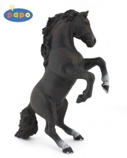 Kůň vzepjatý černý - Chabon Michael