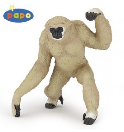 Gibbon