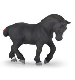 Percheron