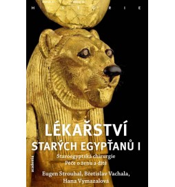 Lékařství starých Egypťanů I - Staroegyptská chirurgie, péče o ženu a dítě