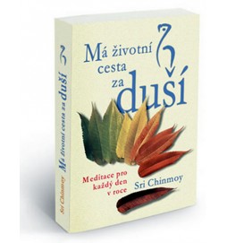 Má životní cesta za duší