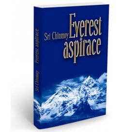 Everest aspirace