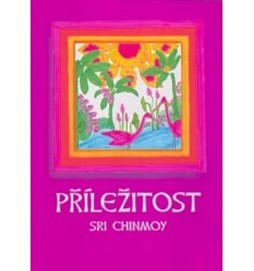 Příležitost
