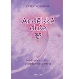 Andělské duše Meditace a cvičení z ducho