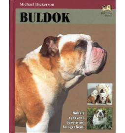 Buldok