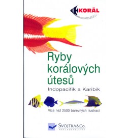 Ryby korálových útesů