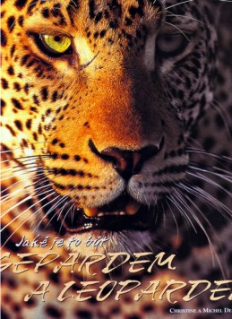 Jaké je to být Gepardem a Leopardem - Denis-Huot CHristine,Michel