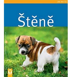 Štěně - Jak na to