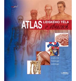 Atlas lidského těla v obrazech