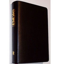 BIBLE překlad 21. století - pravá kůže