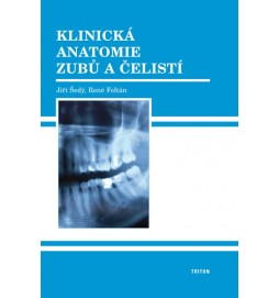 Klinická anatomie zubů a čelistí
