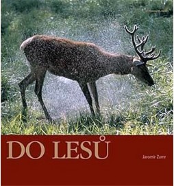 Do lesů