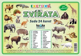 Exotická zvířata - Sada 24 karet - Kupka a kolektiv Petr