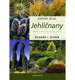 Jehličnany