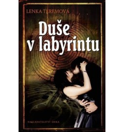 Duše v labyrintu