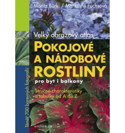 Pokojové a nádobové rostliny pro byt i balkony