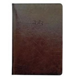 Diář kožený 2013 - CARUS hnědý - denní A5