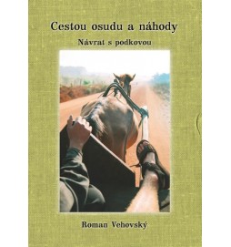 Cestou osudu a náhody II. Návrat s podko