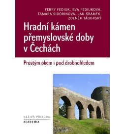 Hradní kámen přemyslovské doby v Čechách