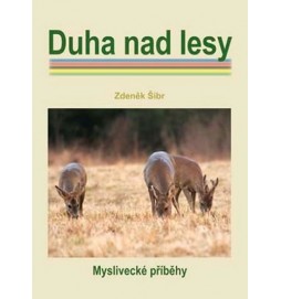 Duha nad lesy