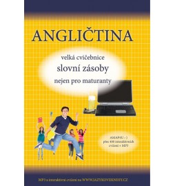 Angličtina velká cvičebnice slovní zásoby nejen pro maturanty