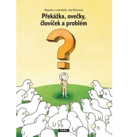 Překážka, ovečky, človíček a problém