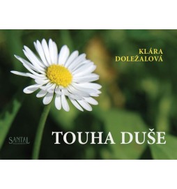 Touha duše