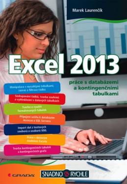Excel 2013 práce s databázemi a kontingenčními tabulkami - Laurenčík Marek