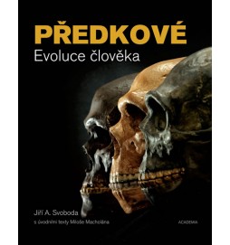 Předkové - Evoluce člověka