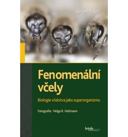 Fenomenální včely - Biologie včelstva jako superorganizmu