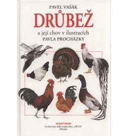 Drůbež