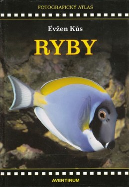 Ryby - Kůs Evžen