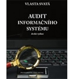 Audit informačního systému