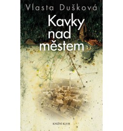 Kavky nad městem