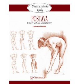 Postava - Prvky vizuální analýzy