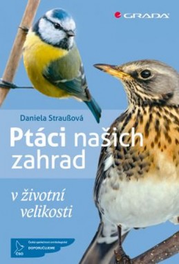 Ptáci našich zahrad v životní velikosti - Straußová Daniela