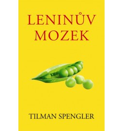 Leninův mozek