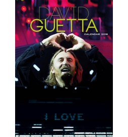 Kalendář nástěnný 2016 - DAVID GUETTA