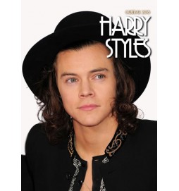 Kalendář nástěnný 2016 - HARRY STYLES