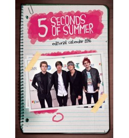 Kalendář nástěnný 2016 - 5 SECONDS OF SUMMER