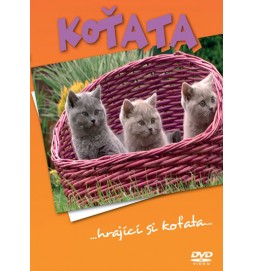 Koťata - DVD